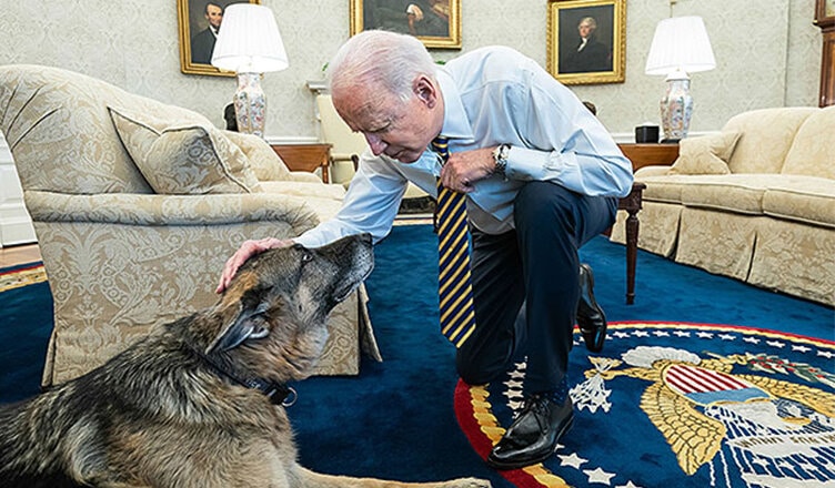 Joe Biden and Dog Champ (Credit: Shutterstock)