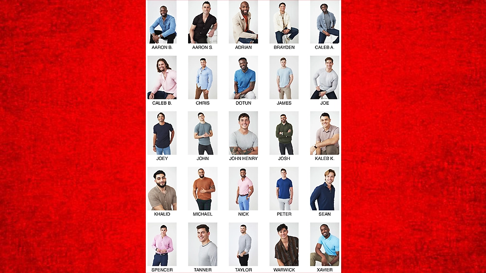The Bachelorette Season 20 Men (Credit: ABC)