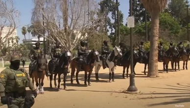 Federal agents on horses carried out an immigration raid in MacArthur Park in Los Angeles on Monday, July 7, 2025. (Credit: YouTube/KCAL News)