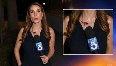 KTLA5 reporter Rachel Menitoff maintained her composure as a cockroach made its way across her body during a live report on Tuesday, July 14. (Credit: KTLA5)