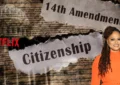 Citizenship and 14th Amendment newspaper headlines over the US Constitution, with an image of Ava Duvernay and Netflix logo. (Credit: Shutterstock and Netflix)